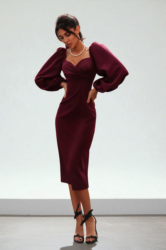 Robe Élégante à Manches Longues Et Taille Définie